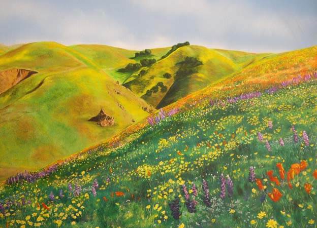 Sue Eberhardt Artist